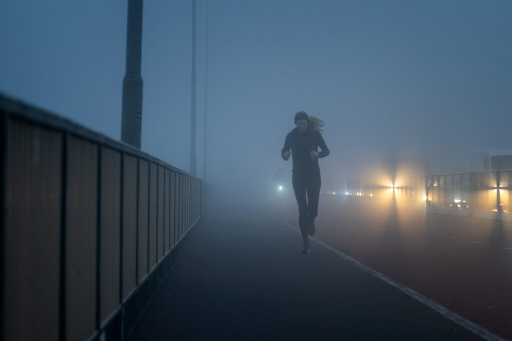 MIST OP DE WAALBRUG