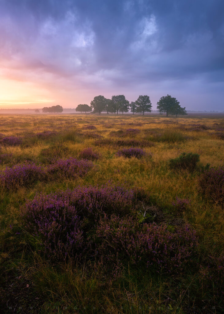 AUTUMN APPROACHING