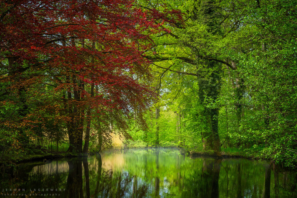 BREDIUSPARK IN SPRING