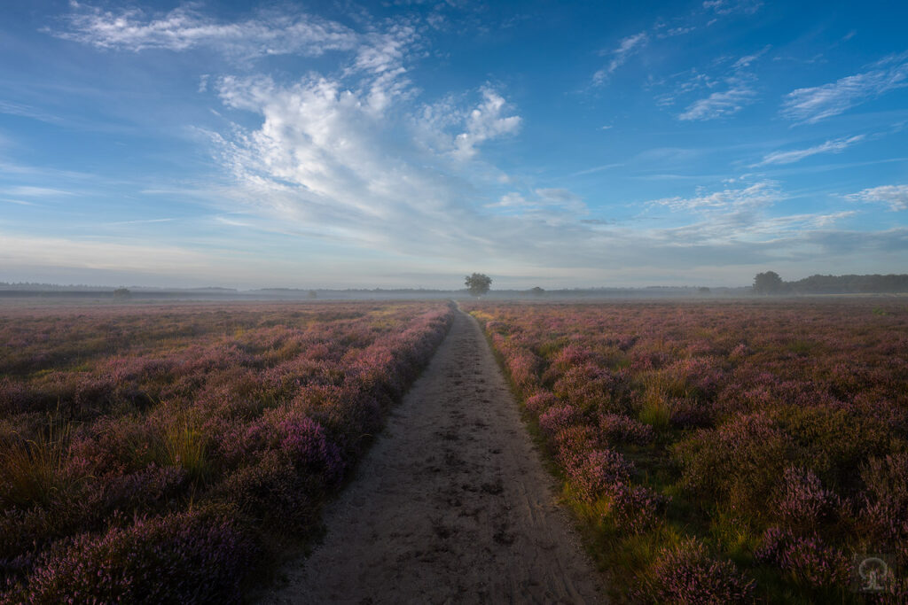 BUSSUMERHEIDE