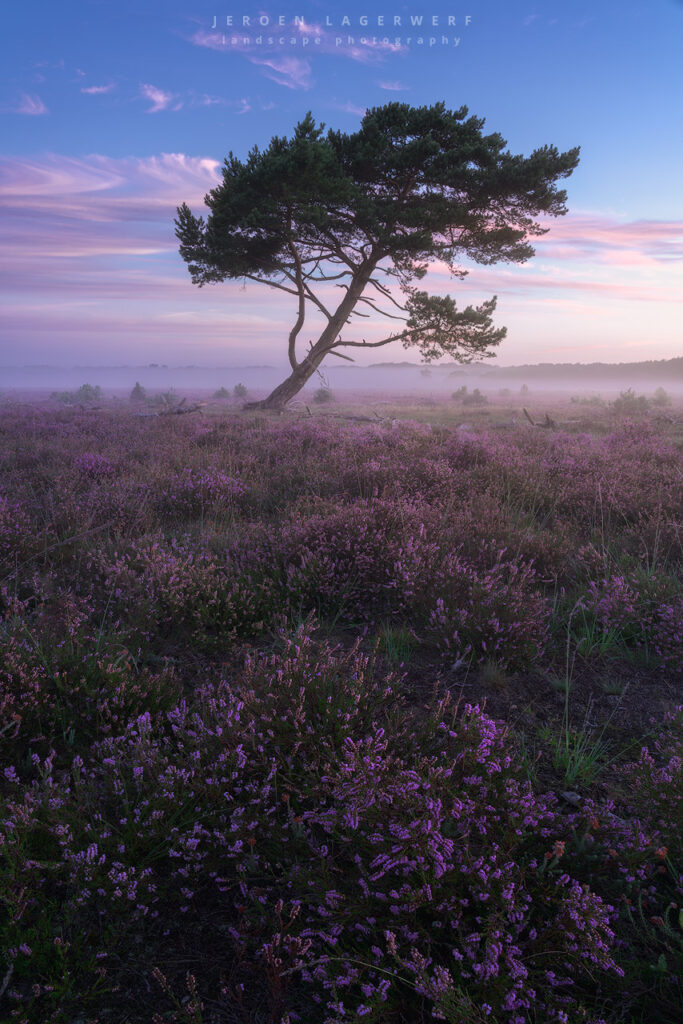 BUSSUMERHEIDE