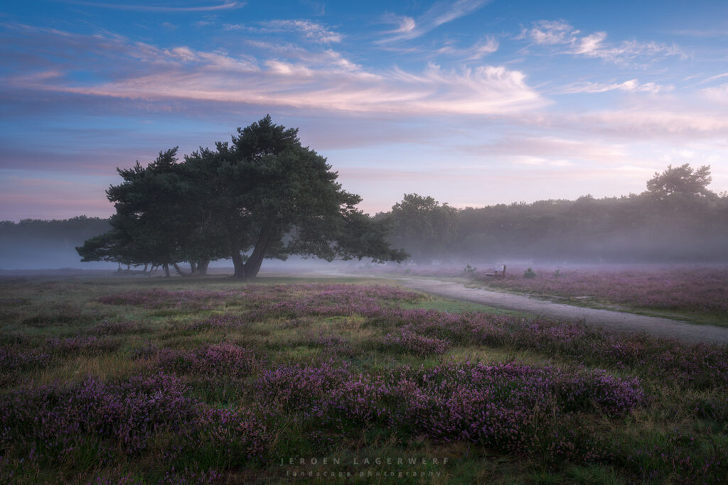 BUSSUMERHEIDE