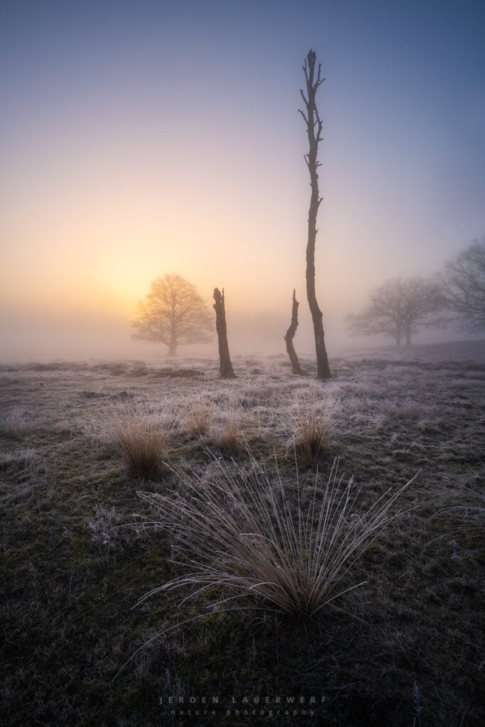 DUTCH NATURE