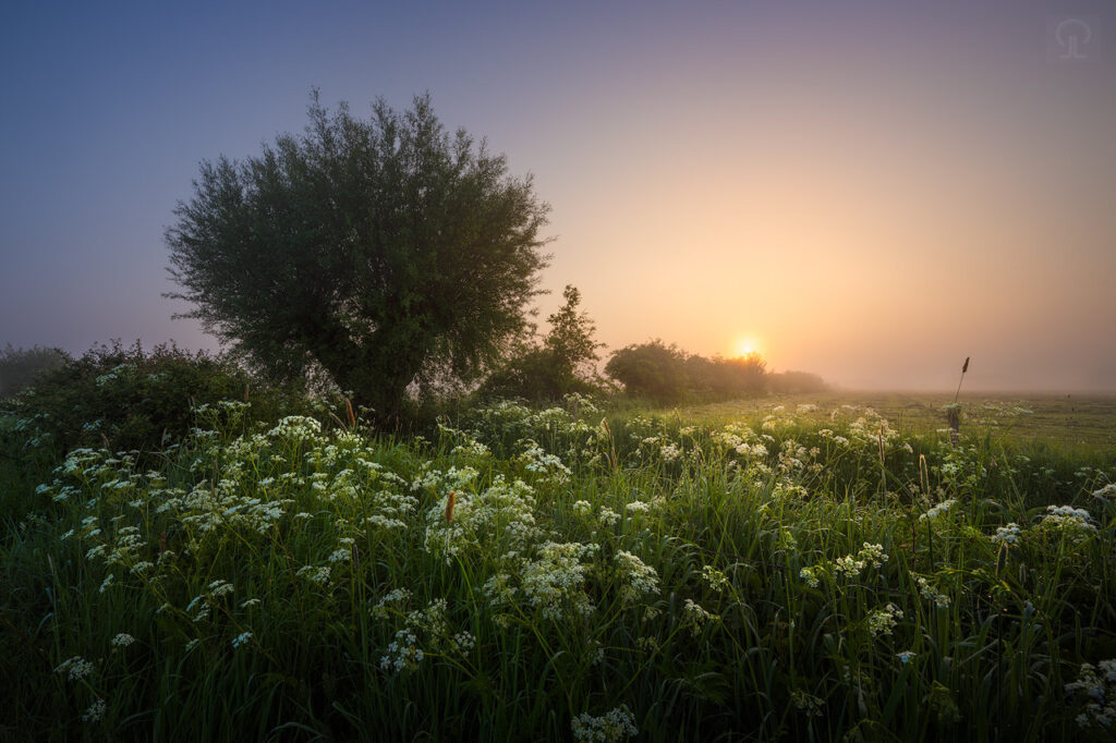 ZONSOPKOMST