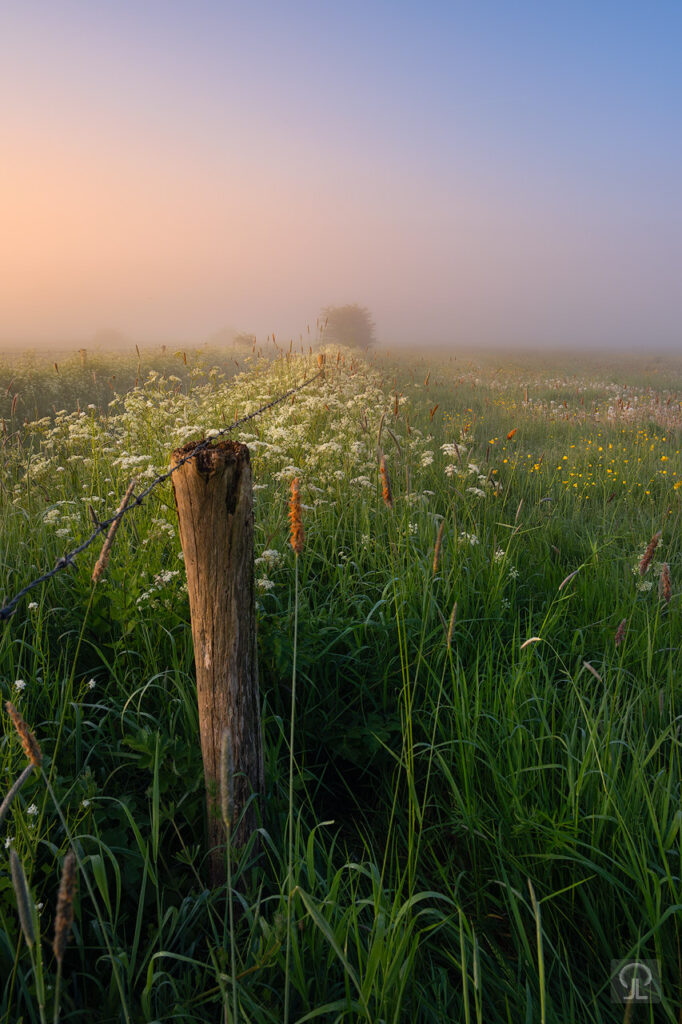 Snor-Groenhouten-web