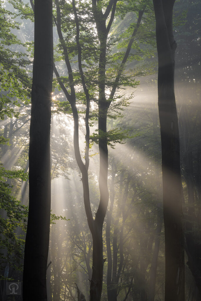 LIGHT!