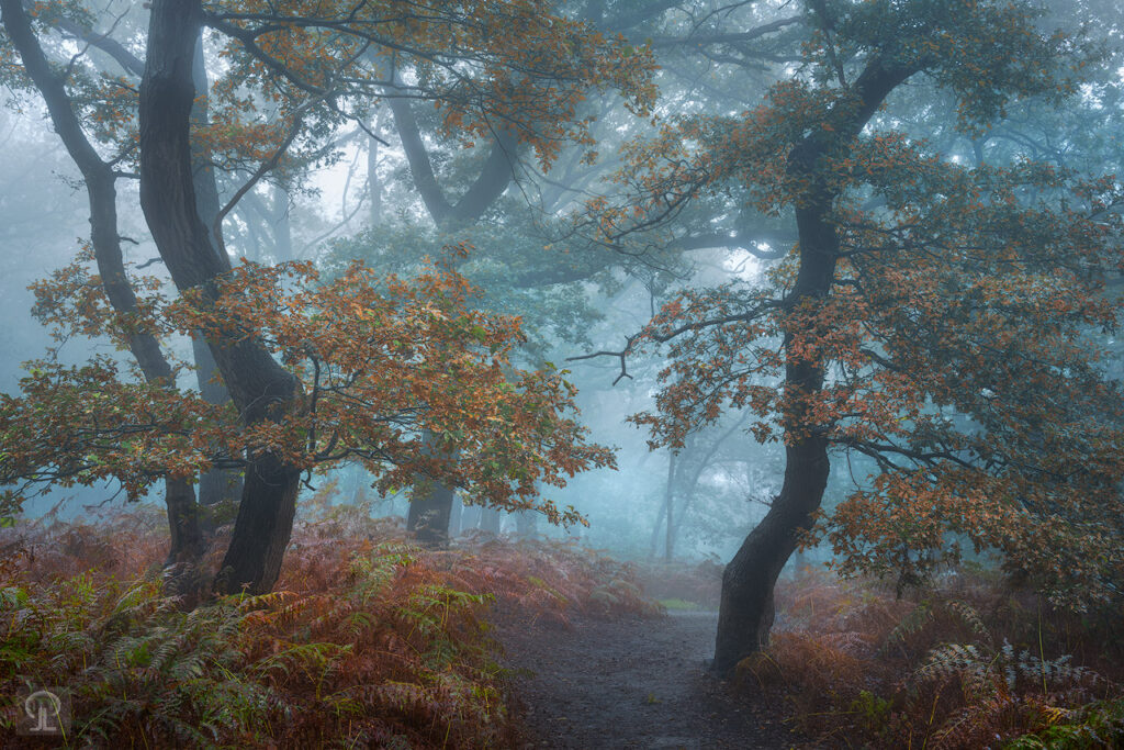 PASSAGE TO ASHMERWOOD